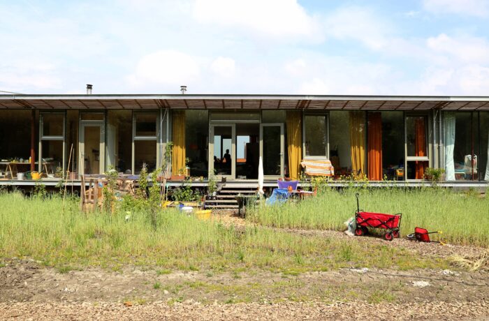 South-facing timber building in full summer bloom, co-living Oosterwold, Almere